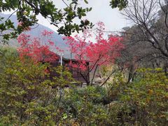 -虞山风景区