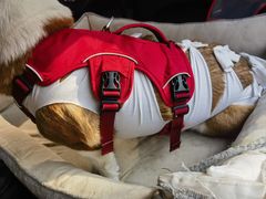 -美联众合动物医院·24h转诊中心