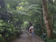 -儒之堂·足道养生SPA影院式(万融城店)