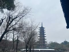 -上海方塔园