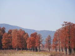 -四明湖