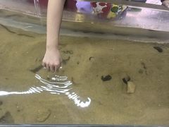 -上海大自然野生昆虫馆(东方明珠·爬宠昆虫探索中心)