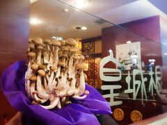 -皇城根(张杨店)