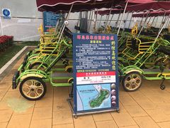 -野狸岛