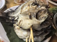 -杨合林啊兰烤鱼