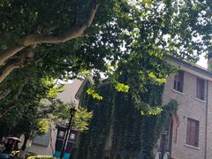 -上海交通大学医学院附属瑞金医院(总院)