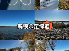 -绿堤公园
