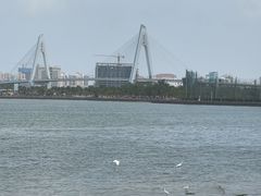 -万绿园