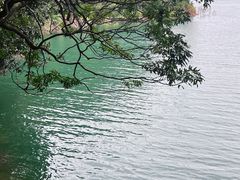 -广州市流溪河国家森林公园