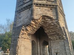 -上海佘山国家森林公园天马山园