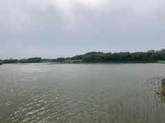 -大兴滨河森林公园