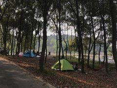 -青龙山国家森林公园
