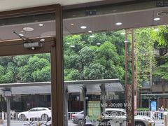 -瑞鹏宠物医院·夜间急症·心超·猫科(祖庙分店)