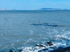 -悦海公园