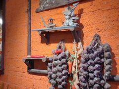 -陶缘一号·四季缘·老字号顺德菜·户外婚礼家宴(西滘店)