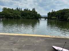 -鲁镇