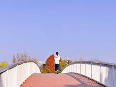 -澹台湖公园