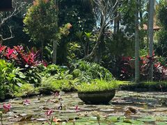 -脏鸭餐厅(乌布总店)