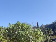 -南沙蒲洲花园