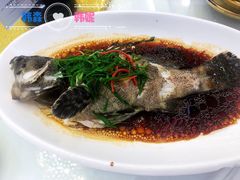 -金华安大酒楼·老牌潮菜·粤式茶点(东方国际店)