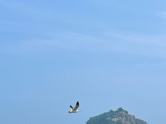 -棒棰岛宾馆景区