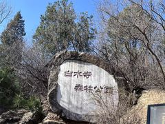 -白水寺森林公园