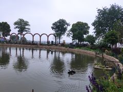 -鹅湖玫瑰文化园