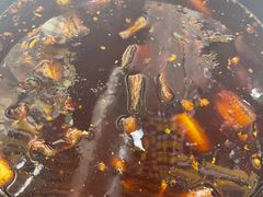 -金海椒罐罐鲢鱼(东方桂苑店)