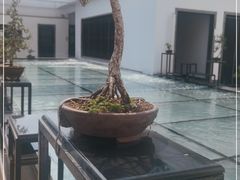 -稍可轩博物馆餐厅