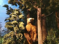 -陕西自然博物馆