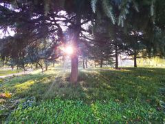 -济南国际园博园