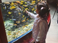 -太平洋海底世界