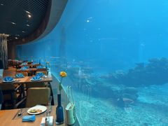 -海棠湾洲际-涛·海底餐厅·美人鱼·自助餐·海底隧道