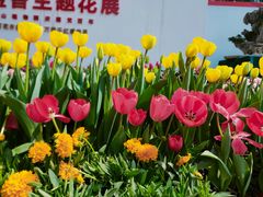 -南山植物园
