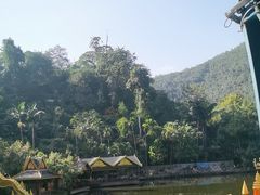 -西双版纳原始森林公园
