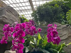 -石家庄市植物园