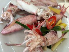 白灼鲜鱿鱼-众味海鲜大排档·活海鲜·潮汕味(南澳店)