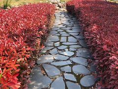 -白塘生态植物园