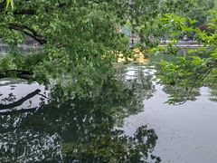 -西湖天地