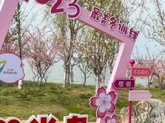 -阳澄湖半岛旅游度假区