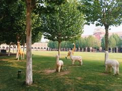 -天津五大道文化旅游区