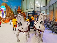 -世界之窗阿尔卑斯冰雪世界