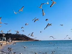 -银沙滩浴场