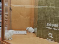 -帕帕拉兹宠物(亚洲旗舰店)