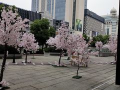 -大洋晶典(东街店)