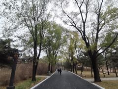 -北陵公园