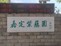 -嘉定紫藤园