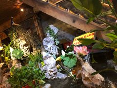 -多哥水傣味餐厅(司马巷店)