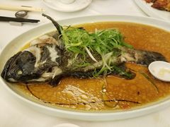 家鄉珍珠龍躉斑-潮江春(荃湾广场店)