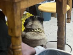 -双冰面馆(茶南店)